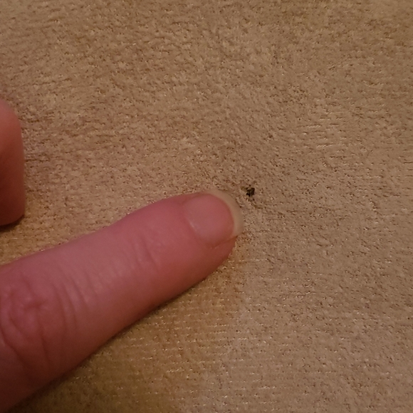 Lazy One slippers - Picture 4 of 4